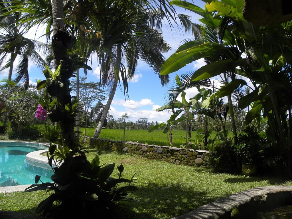 Saudara Home Ubud Экстерьер фото