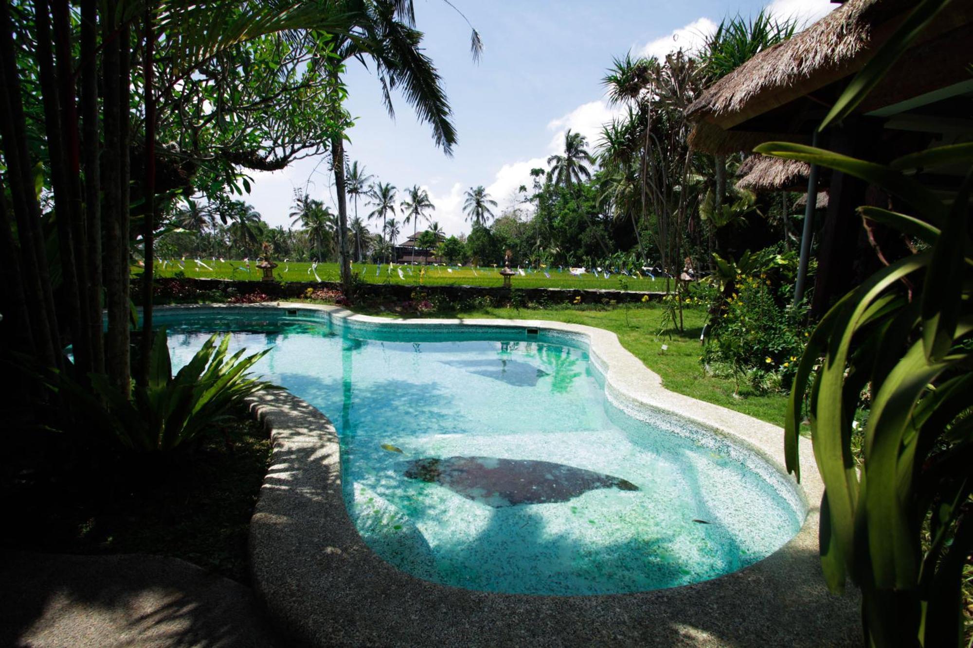 Saudara Home Ubud Экстерьер фото